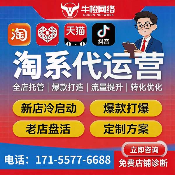 南京电商代运营
