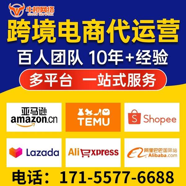 南京电商代运营