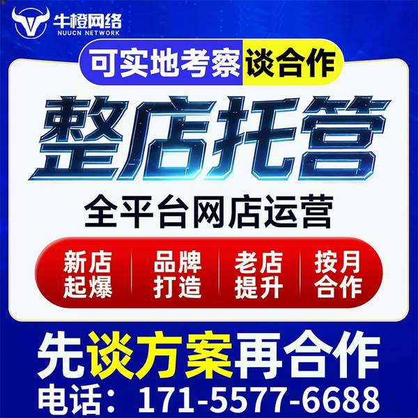 南京电商代运营