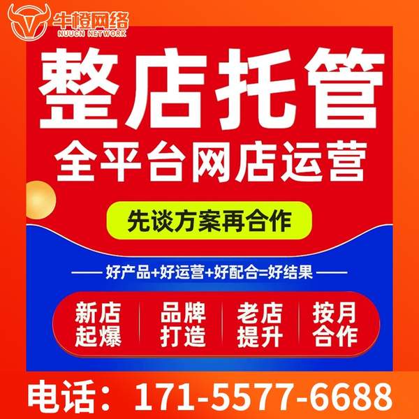 南京电商代运营
