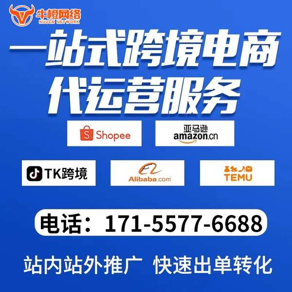 南京电商代运营