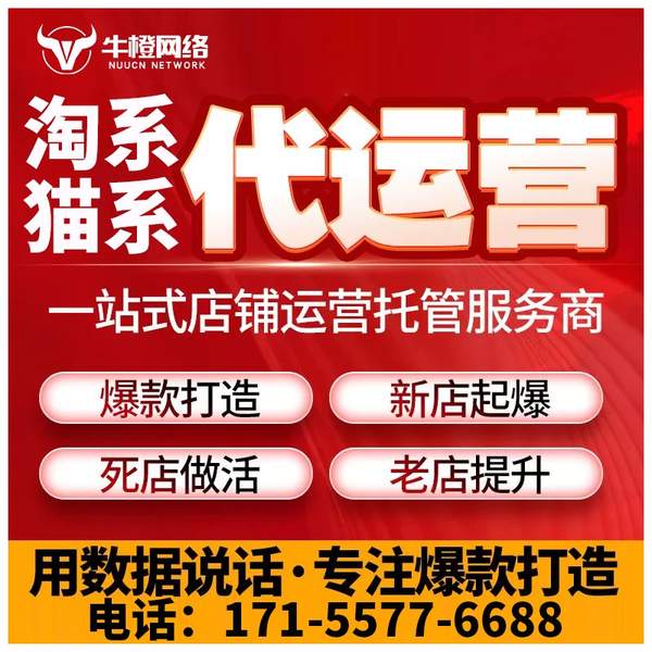 南京电商代运营